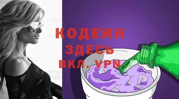 прущие грибы Михайлов