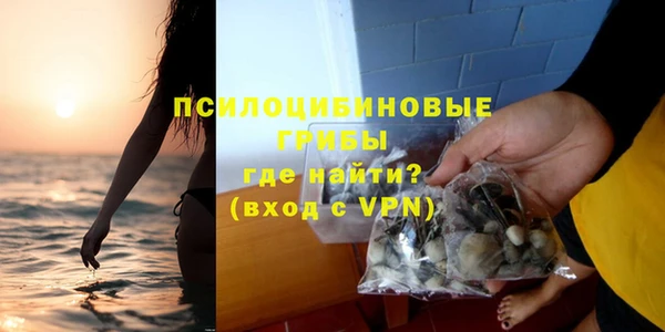 прущие грибы Михайлов