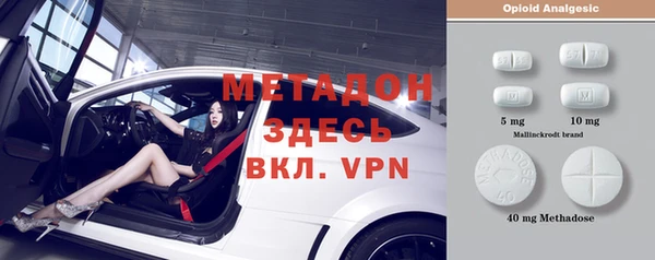 прущие грибы Михайлов