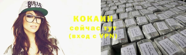 прущие грибы Михайлов