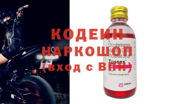 прущие грибы Михайлов