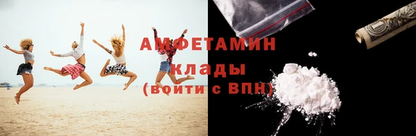 прущие грибы Михайлов