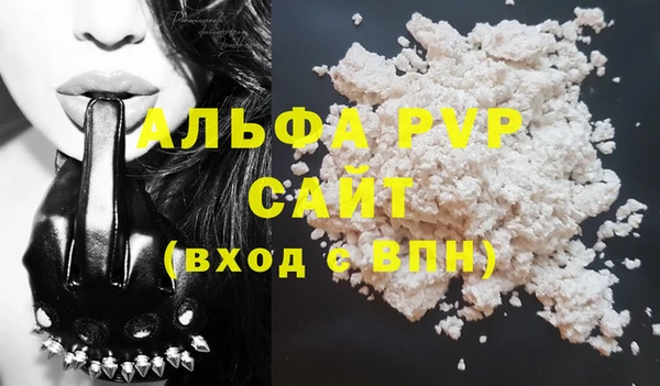 прущие грибы Михайлов