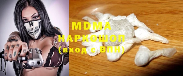 прущие грибы Михайлов