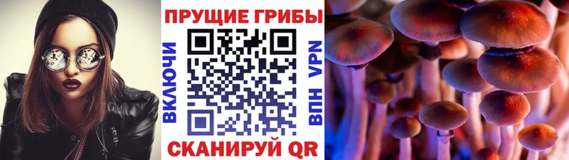 Псилоцибиновые грибы Magic Shrooms  shop клад  Солигалич 